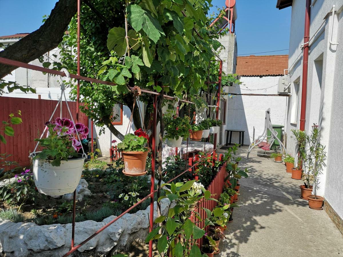 Casa Cu Foisor